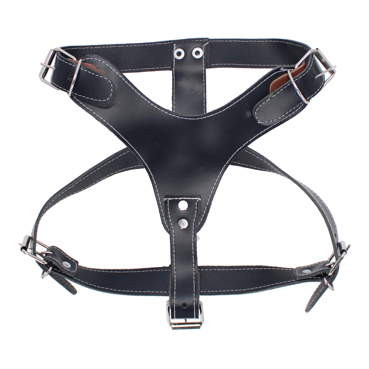 Pechera de piel para Perro talla # 6 negra