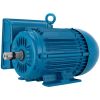 Motor NEMA bifásico 220 V 7.5 HP WEG