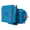 Motor NEMA bifásico 220 V 7.5 HP WEG