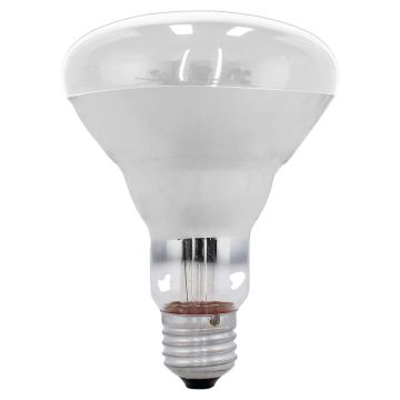 Lámpara incandescente tipo reflector BR30 75 W Transparente 6019 Adir