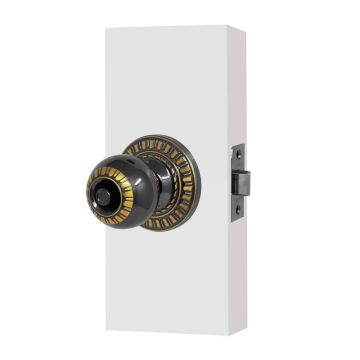 RS591