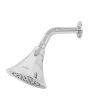 Regadera cónica cabeza redonda 4.5" 2369 Adir