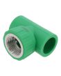 Tee rosca central Hembra ø 25 x 3/4" para tubo PP- R 7138 Maxflu