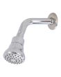 Regadera cabeza redonda 2.5" 9210 Adir