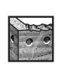 Broca SDS-plus 5/16" x 4" x 6" Bosch