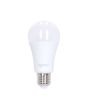 Foco LED A65 15 W 3000 °K Luz cálida F20115 Igoto