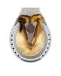 Herradura de aluminio Plana sin tacón #4 St. Croix Forge Mustad