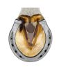 Herradura con tacón #27 79013 Corona Mustad