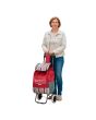 Carrito para mandado con bolsa 1093 Lion Tools