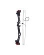 Arco profesional compuesto con 2 flechas MAR-016 Mendoza