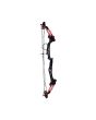 Arco profesional compuesto con 2 flechas MAR-016 Mendoza