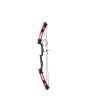 Arco profesional compuesto con 2 flechas MAR-016 Mendoza