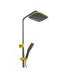 Regadera monomando negra / oro HT-90061 Hand Showers