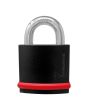 Candado de alta Seguridad serie NE grado 5 NE12L Mul-T-Lock