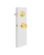 Cerradura para entrada principal latón brillante Monaco PF0197 Top Forge