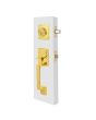 Cerradura para entrada principal latón brillante Monaco PF0197 Top Forge