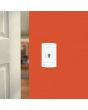 Placa con conector para televisor 4274 Sanelec