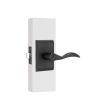 Cerradura para recámara negra Lujan MX89567 Yale