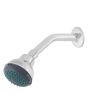Regadera antisarro 2-1/2" con brazo y chapetón cromo YE0014 Yarden