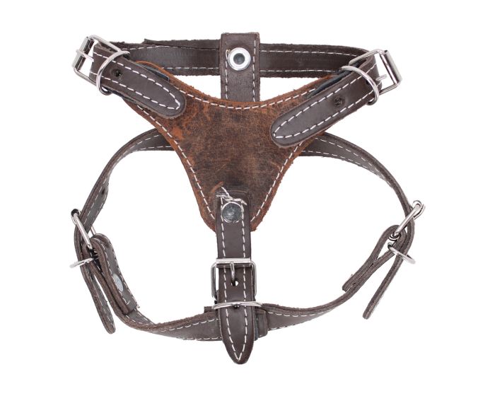 Pechera de piel para Perro talla # 2 café
