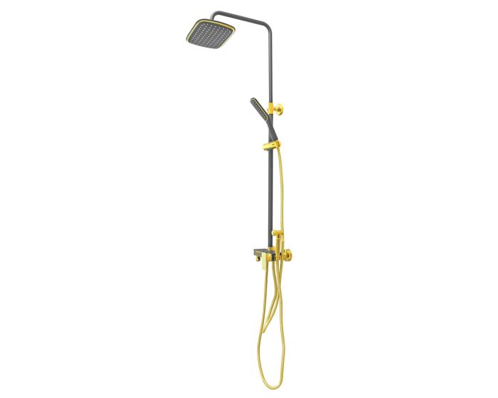 Regadera monomando negra / oro HT-90061 Hand Showers