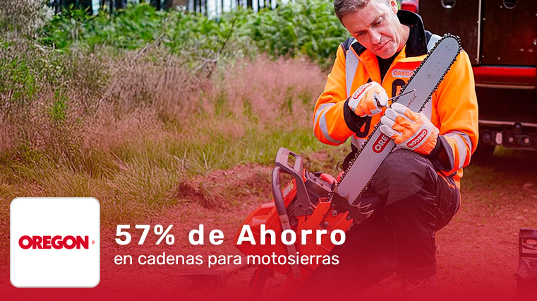 Super REBAJA por introducción